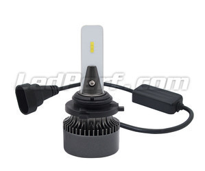 Ampoules H10 LED Eco Line branchement plug and play et Canbus anti-erreur