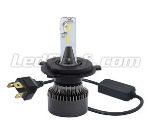Ampoules H4 LED Eco Line branchement plug and play et Canbus anti-erreur
