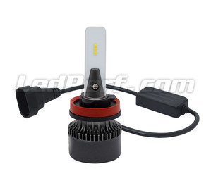 Ampoules H8 LED Eco Line branchement plug and play et Canbus anti-erreur
