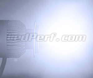 Ampoule LED COB H11 Moto