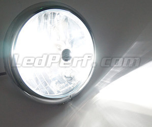 Ampoule HB4 LED Moto Ajustable - Eclairage Blanc Pur