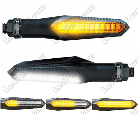 2-in-1 Dynamische LED-Blinker mit integriertem Tagfahrlicht für Harley-Davidson Forty-eight XL 1200 X (2016 - 2020)