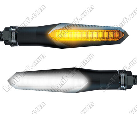 2-in-1 Sequentielle LED-Blinker mit Tagfahrlicht für Harley-Davidson Forty-eight XL 1200 X (2016 - 2020)