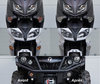 Led Frontblinker Harley-Davidson Roadster  1200 vor und nach