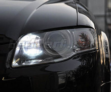 Pack feux de jour (blanc xenon) pour Audi A4 B7