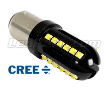 Ampoule P21/5W LED Ultimate Ultra Puissante - 24 Leds CREE - Anti erreur ODB - BAY15D
