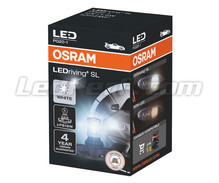 Ampoule LED PS19W Osram LEDriving SL - Cool White 6000K - 5201DWP