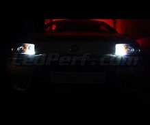 Pack veilleuses (blanc xenon) pour Fiat Punto MK2