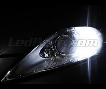 Standlicht-LED-Pack (Xenon-Weiß) für Ford Mondeo MK4