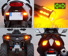 Pack clignotants arrière Led pour Harley-Davidson Forty-eight XL 1200 X (2010 - 2015)