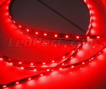 Bande flexible standard de 50cm (30 leds cms) rouge