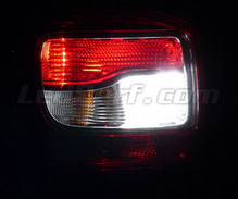 Pack leds (blanc 6000K) feux de recul pour Dacia Logan 2