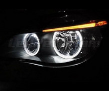 Pack angel eyes Leds BMW Serie 5 E60 E61 Ph 2 (LCI) - Sans xenon d'origine